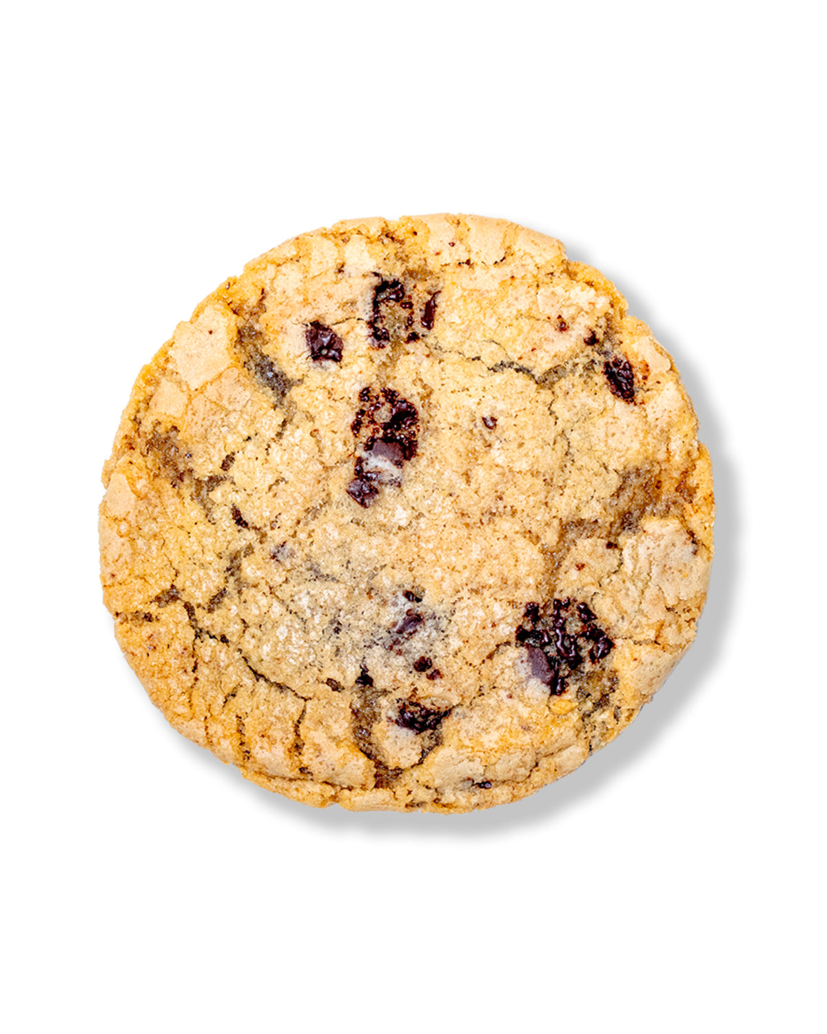 Salted Chocolate Cookies